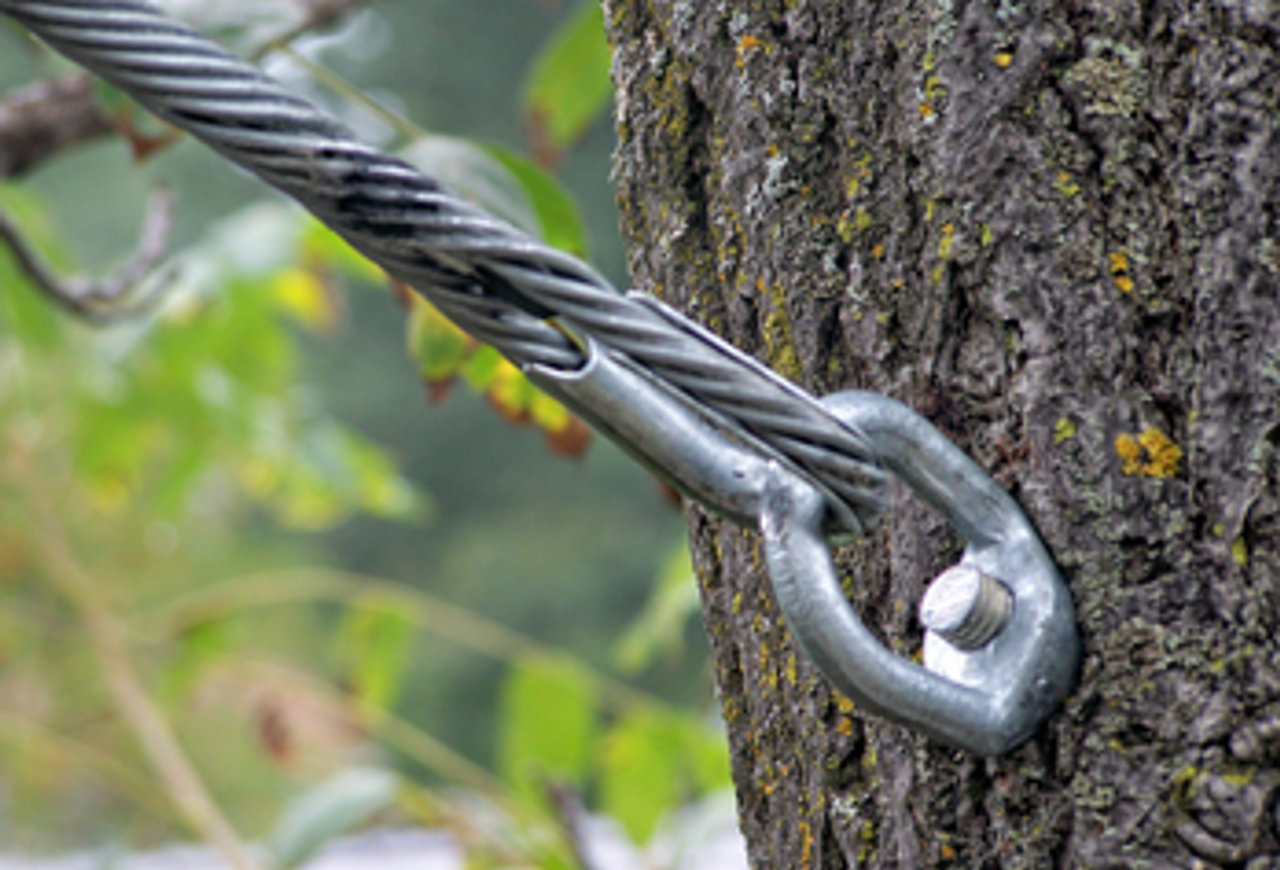 Cabling & Bracing in Parsippany, NJ