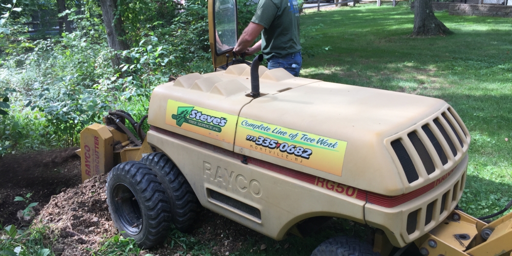 Stump Grinding in Towaco, NJ