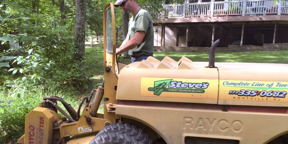 Stump Grinding crew at work in Towaco, NJ