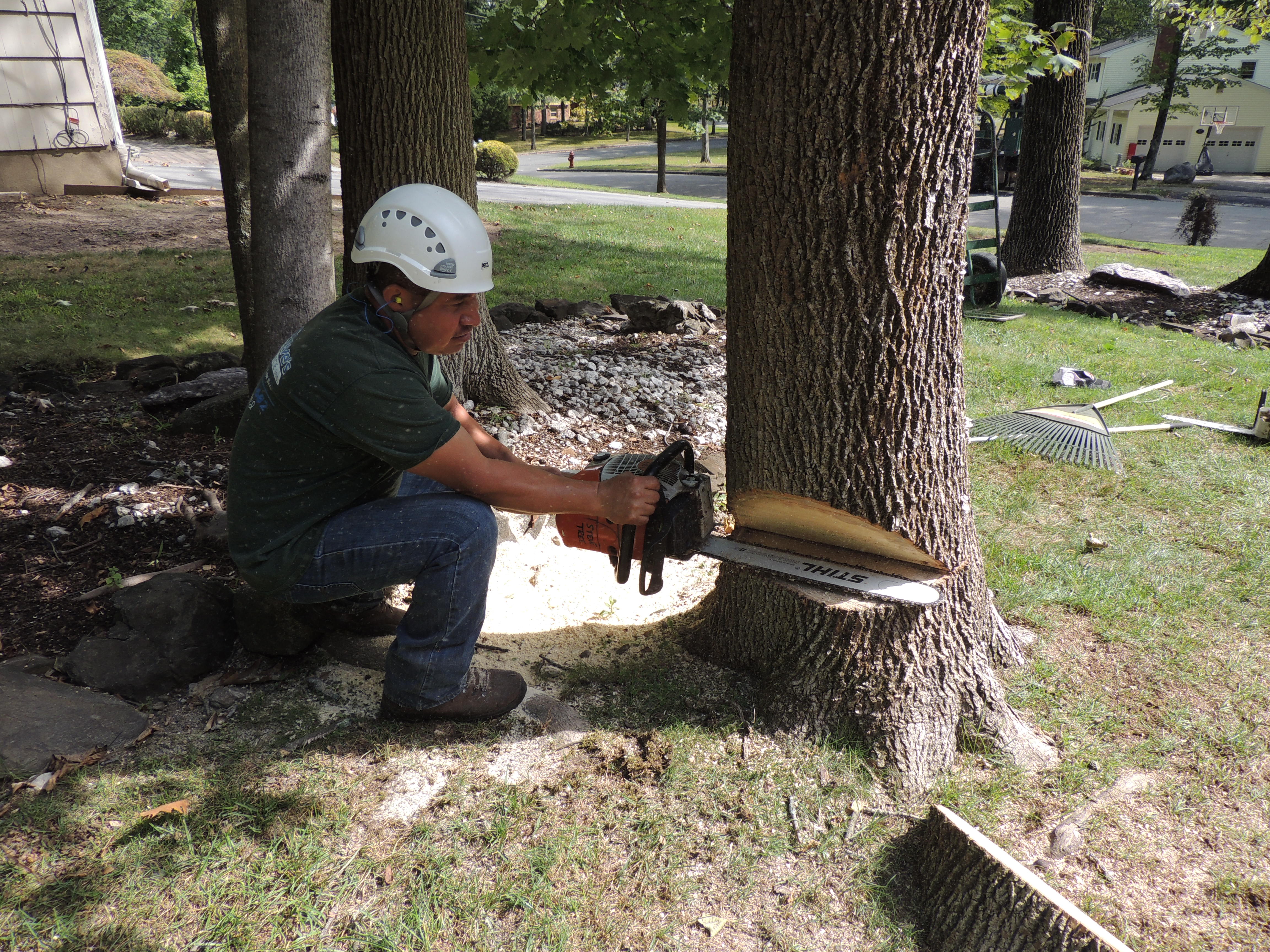 Storm Response crew at work in Kinnelon, NJ